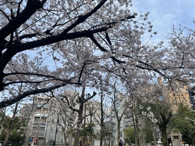 A0472F0F-89B0-44CF-84C6-9211EC822933