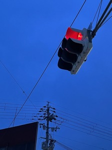 02F1A560-462A-4DD2-90CA-E96B0FD6F47B