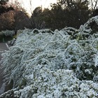 IMG_0641