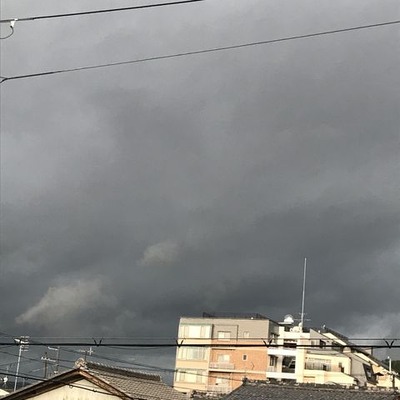 0D420C80-8DF2-4E91-A8C6-EF1242BF49FE