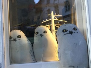 IMG_2110 (1)