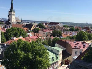 IMG_2181