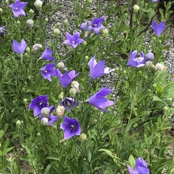 IMG_0895