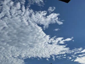 9F128CD1-850E-4596-912A-368D87C36903