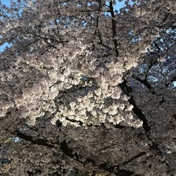 IMG_0651