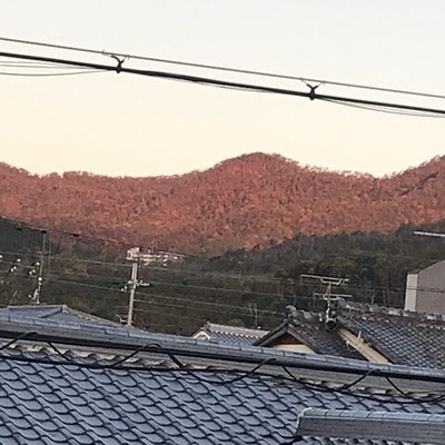 B1CF5D8F-E9AA-4C93-BC13-7F0CC069C45C