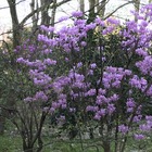 IMG_0638