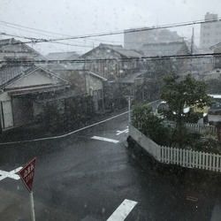 47259BB7-FD1B-4AA0-A780-762EEAF18335