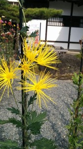 IMG_3328