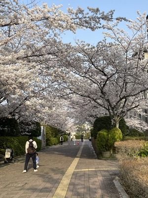 17AB32B7-B1AB-49F3-A3CD-2EE62058351E