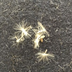 F304CA58-ACAE-4CBE-B7C9-AA5913AAA045