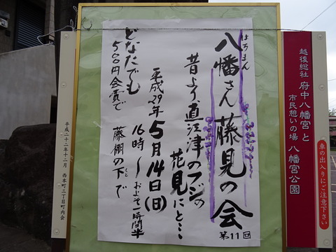 NO01