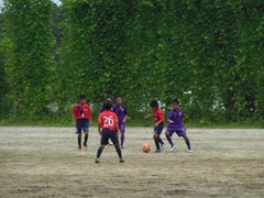 DSCN1246