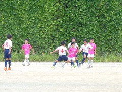 DSCN1184