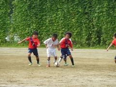 DSCN1278