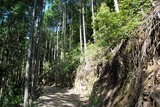 kouti 087