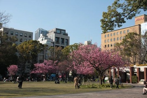 IMG_8107