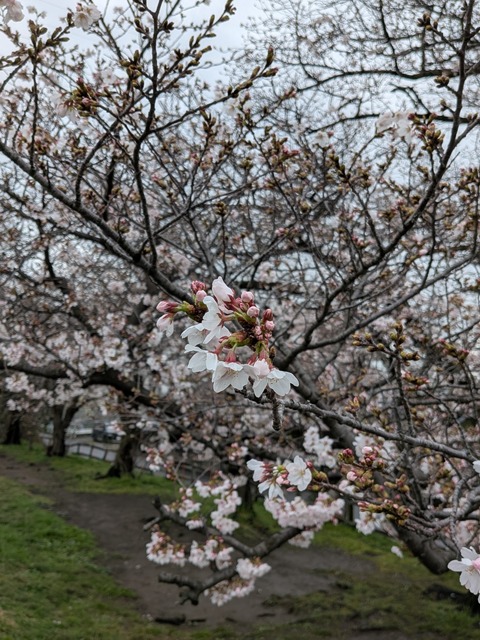 PXL_20260326_070316421