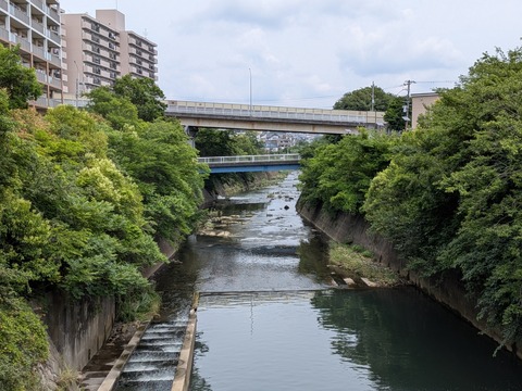 PXL_20260614_031038106