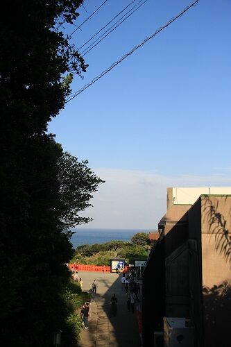 IMG_6702