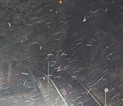 PXL_20260102_112417663