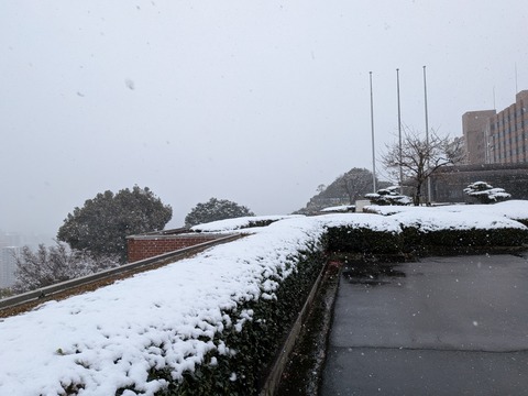 PXL_20260208_015632966