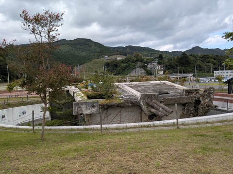PXL_20251007_041952661