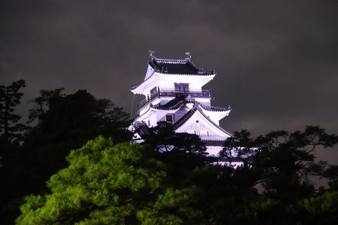 IMG_8703