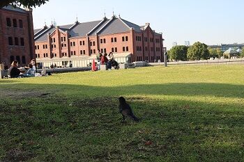 IMG_1170