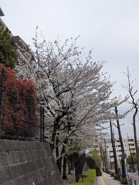 662527160_26255676377458033_6566631896380996337_n