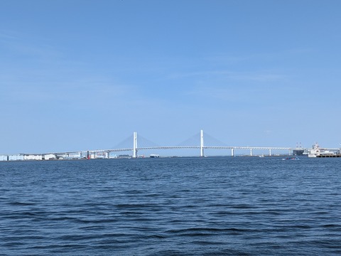 MP