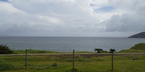 IMG_0002_BURST0010001