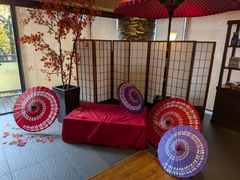 PXL_20251123_015518121