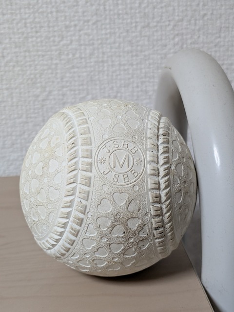 PXL_20250826_132416104