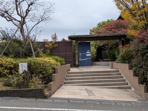 PXL_20251123_025919039