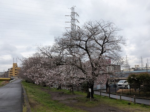 PXL_20260326_070302466