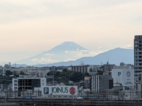 PXL_20251102_054331750