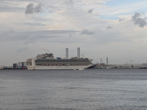 PXL_20251018_065515967