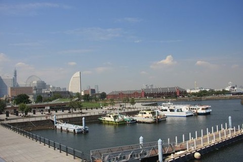 IMG_6251