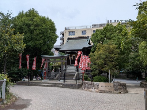 PXL_20260614_031027119