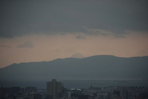IMG_7447