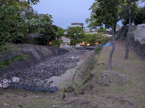 PXL_20260411_094914284