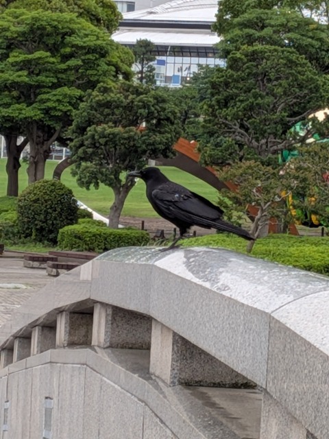 PXL_20260628_060422323