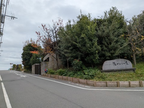 PXL_20251123_025957282