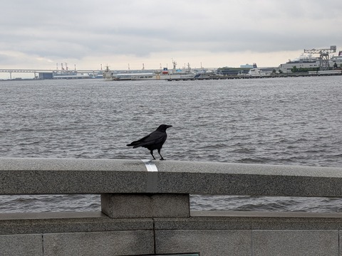 PXL_20260628_060514357