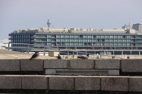 IMG_1873