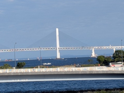 PXL_20261003_065210384