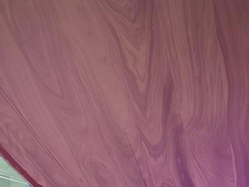 Tu Tiên Giả Cuối Cùng Chapter 83 - 53