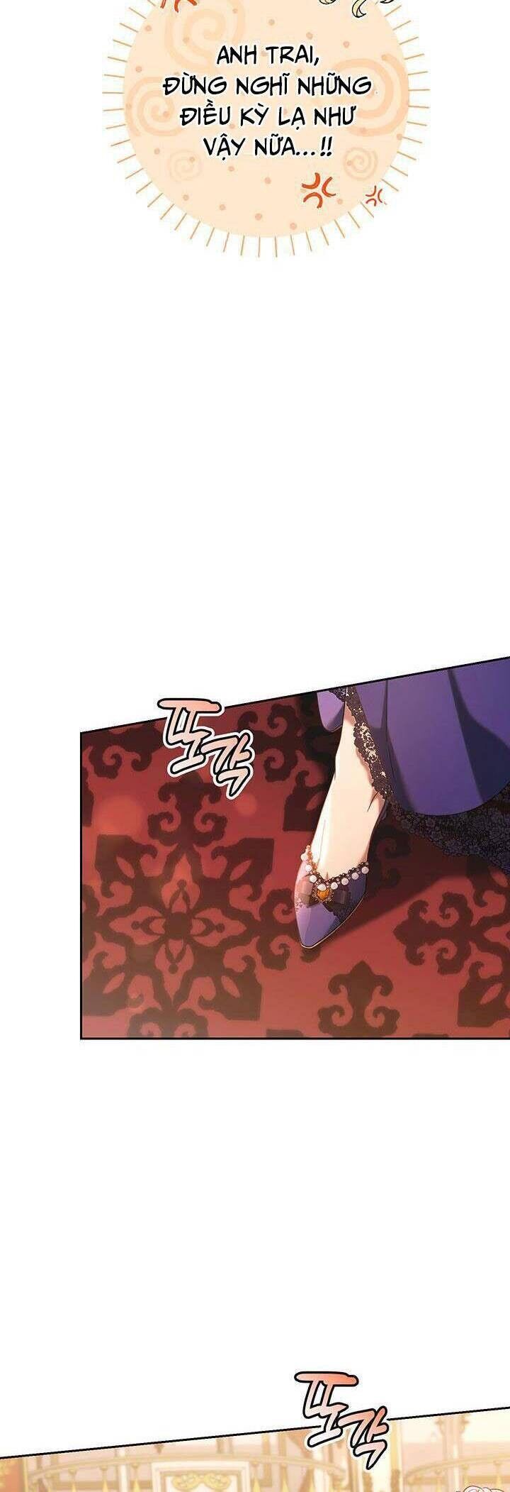 Tôi Đã Nuôi Dạy Em Gái Mình Một Cách Hoàn Hảo Chapter 15 - 41