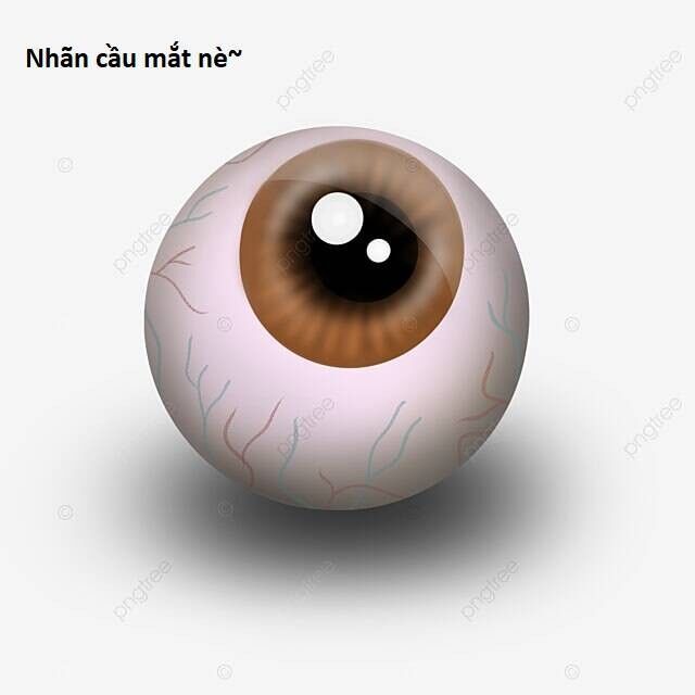 Hổ Đến Chơi Nhà Chapter 88 - 61